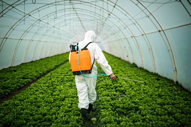 Best Emergency Pest Control  in Beltsville, MD