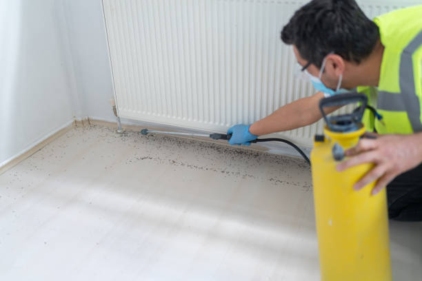 Best Wasp Removal Services  in Beltsville, MD